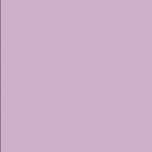 Meet your Posher, Lilly